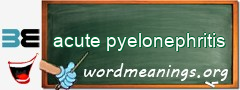 WordMeaning blackboard for acute pyelonephritis